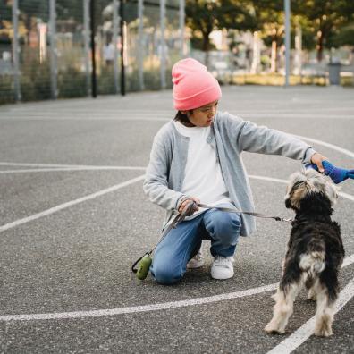 A child and a dog playing together